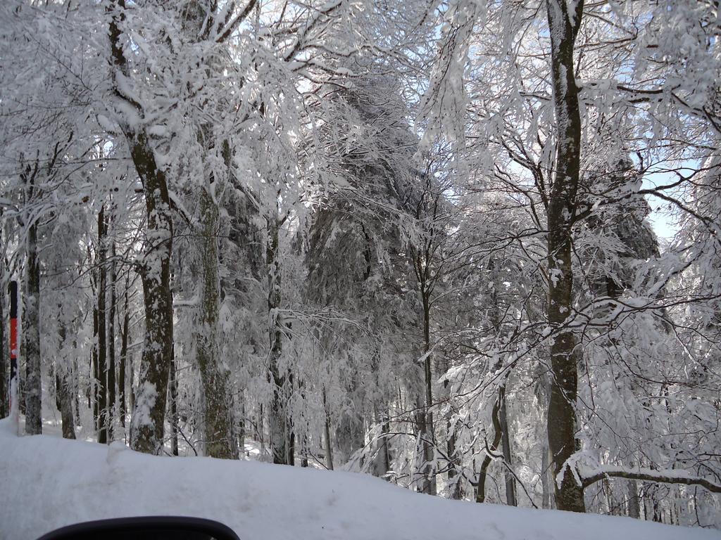 Berghotel Schiller Schonach im Schwarzwald ภายนอก รูปภาพ
