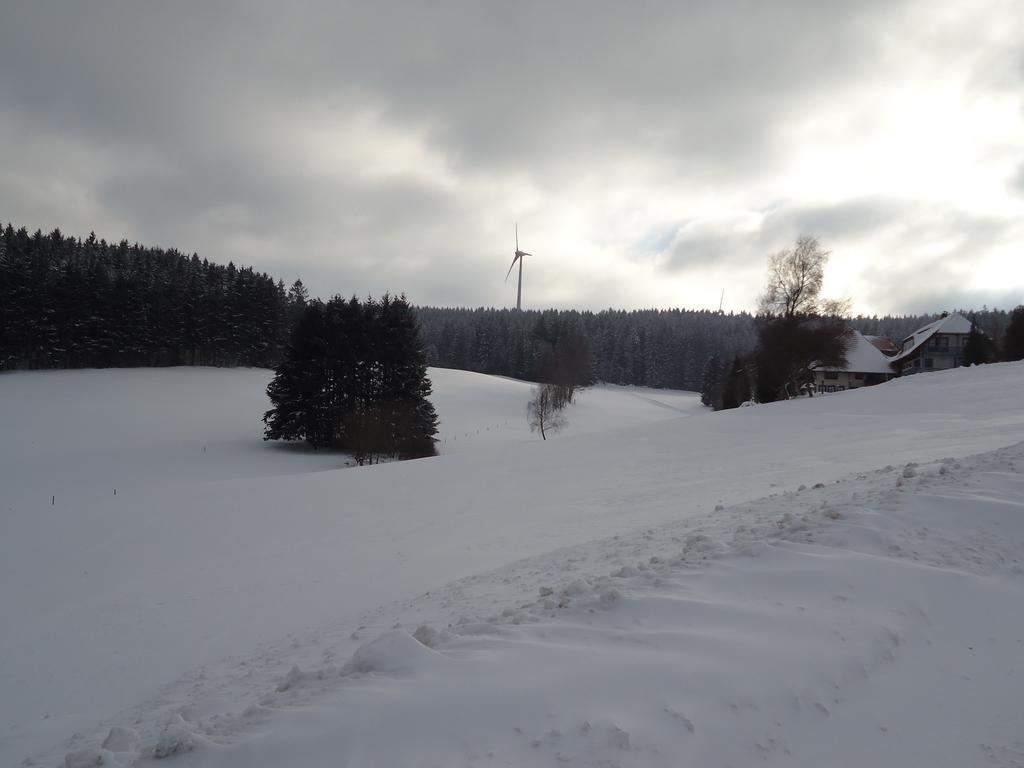 Berghotel Schiller Schonach im Schwarzwald ภายนอก รูปภาพ